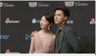 网游爆料李易峰事件视频,真相与争议的交织